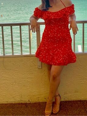 Tobi Red Floral Dress